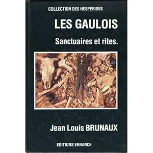 Les gaulois sanctuaires et rites 1986 - BRUNAUX Jean Louis - Religion Rituel Celtique Druide Myth...
