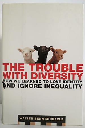 THE TROUBLE WITH DIVERSITY How We Learned to Love Identity and Ignore Inequality (DJ protected by...