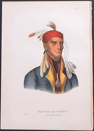Shin-Ga-Ba-W'Ossin, A Chippeway Chief