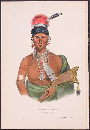 Ap-Pa-Noo-Se, A Saukie Chief