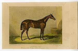 Antique Print-RACE HORSE-CHARLES 12TH-LEGER STAKES-DONCASTER-Scott-Herring-1850
