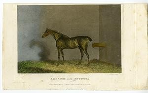 Antique Print-RACE HORSE-PORTRAIT-SASENAGH-IMPOSTOR-Scott-Barenger-1820