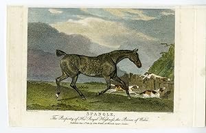Antique Print-HORSE-HUNTING-PORTRAIT-EGLINTON-Ferneley-Engleheart-1850