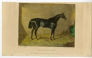 Antique Print-HORSE-PORTRAIT-SADDLER-STABLE-Scott-Herring-1835