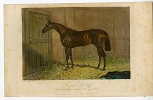 Antique Print-HORSE-FOIGH A BALLAGH-STABLE-Hacker-Herring-1850