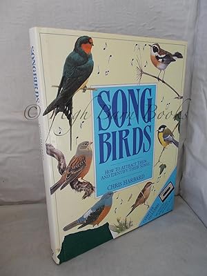 Song Birds: How to Attract them and Identify their Songs