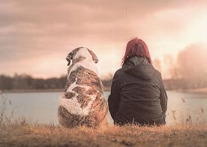 Owning A Dog River Sunset Sunrise German Dogs Unique Postcard