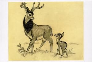 Bambi In Forest Baby Deer Walt Disney Storyboard Painting Postcard