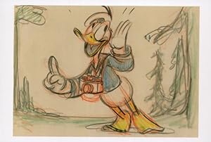 Donald Duck Camera WW2 Cartoon Painting Walt Disney Postcard