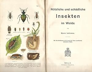 Nützliche und schädliche Insekten im Walde.