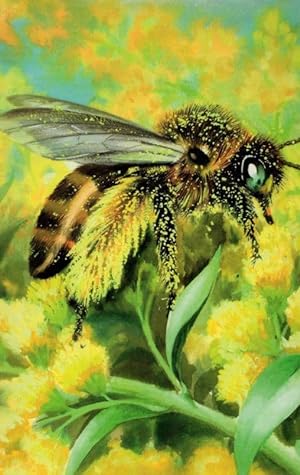 Giant Bee On Dandelion Honey Flower Childrens Painting Ladybird Book Postcard