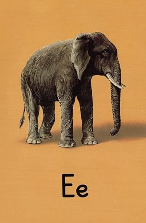 E Is For Elephant Ladybird Old Book Alphabet Childrens Postcard