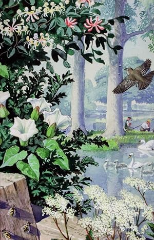 1960s Bindweed & Honeysuckle Swans In Winter Ladybird Book Postcard