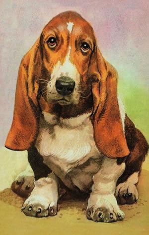 Basset Hound Doberman 1970s Dog Childrens Ladybird Book Postcard