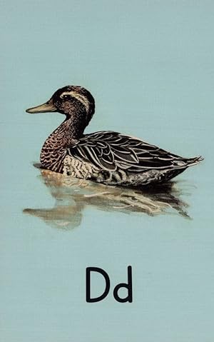D is for Duck Ladybird Childrens Book Alphabet Learning Postcard