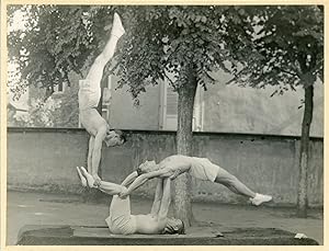 Gymnastes, vers 1950
