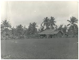 Indochine, hutte en campagne, c. 1950