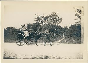 France, Le Plessis, Voiture tirée par un cheval, 1909, Vintage silver print