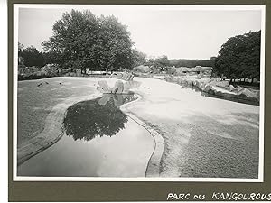 France, Zoo de Vincennes. Parc des Kangourous