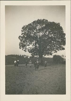 France, Le Plessis, Enfants sous un arbre, 1912, Vintage silver print