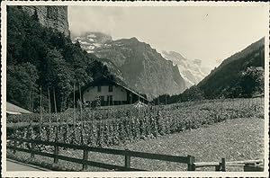 Suisse, Lauterbrunnen, Chalet et son potager, 1949, Vintage silver print