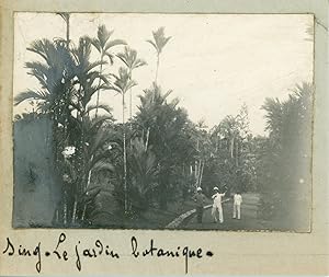 Singapore, Singapour, Le jardin botanique, 1910, Vintage silver print