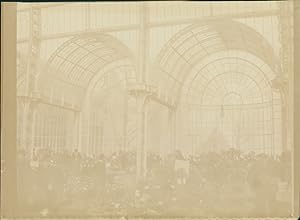 France, Paris, Exposition Universelle de 1900, Intérieur Palais de Horticulture, Vintage citrate ...