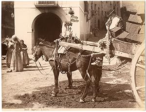 Sommer Giorgio, Italie, Naples, Napoli, costumes traditionnels, carriole et ses chevaux