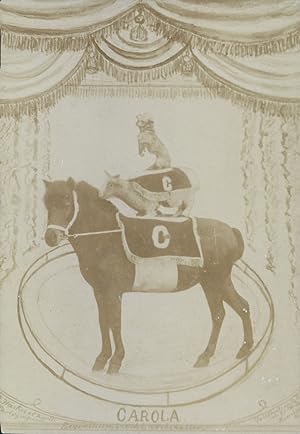 France, Poster de cirque, animaux, ca.1900, Vintage citrate print