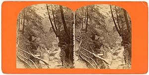STEREO USA, New York State, Watkins Glen, Cathedral Gorge, back view, circa 1870