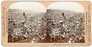 Stereo, Keystone View Company, B. L. Singley, A Family of Cotton Pickers, Ga., U. S. A.