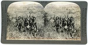 Stereo, Keystone View Company, Underwood & Underwood, Training for war, a Zulu ruah, Zuzuland, S....