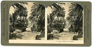 Stereo Espagne, Séville, Sevilla, Alcazar, les jardins, circa 1900