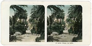 Stereo Espagne, Séville, Sevilla, Alcazar, les jardins, circa 1900, colorisée