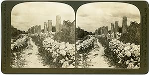 Stereo, Palestine, Samaria, The great colonnade, 1901