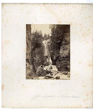 Adolphe Braun, Suisse, Gorge, Rosenhaim