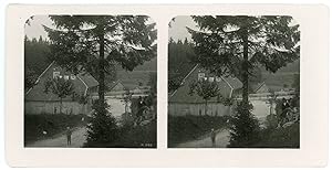 Stereo, France, Allemagne ou Suisse, village de montagne et chalets à identifier, circa 1900