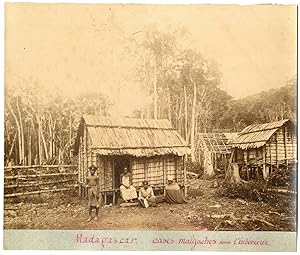 Perrot, Madagascar, cases