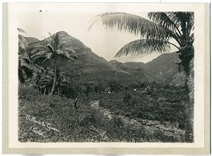 Gauthier Tahiti, Papeete, Diadome