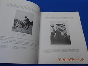 CARTE DU PALUDISME EN ALGERIE. Notice par Edmond et Etienne SERGENT L. PAROT H. FOLEY A. CATANEI ...