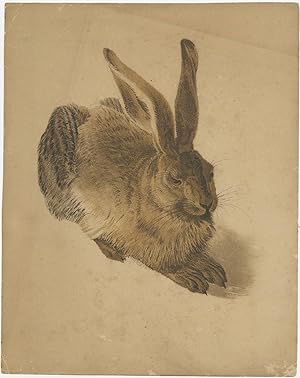 Antique Print of a Young Hare made after Dürer (c.1880)