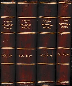 Anatomia Umana, dodici volumi.