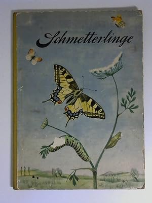 Schmetterlinge : Vom Werden u. Wachsen e. Schwalbenschwanzes.