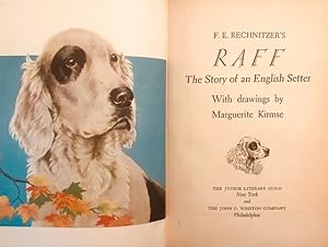 Raff: The Story of an English Setter