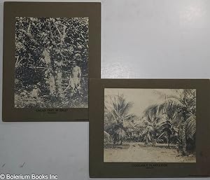 [Two photographs mounted on boards, prepared for the Philadelphia Museums]