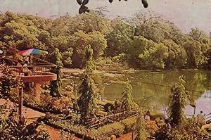 Meyem Lake Resort Goa India 1980s Postcard