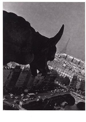 Godzilla King Kong Dinosaur Type Monster Over London 1980s Real Photo Postcard