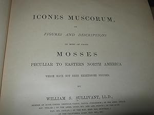 Icones Muscorum, Or Figures And Descriptions Of Most Of Those Mosses Peculiar To Eastern North Am...