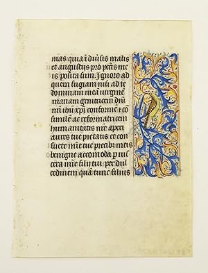 WITH FINELY EXECUTED PANEL BORDERS FEATURING DELIGHTFUL ZOOMORPHIC INHABITATION