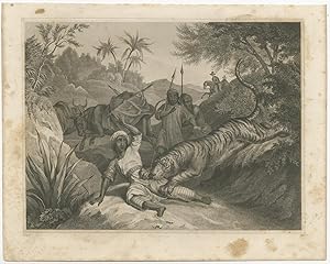 Antique Print of a Tiger Attack by Hoffmann (1847)
